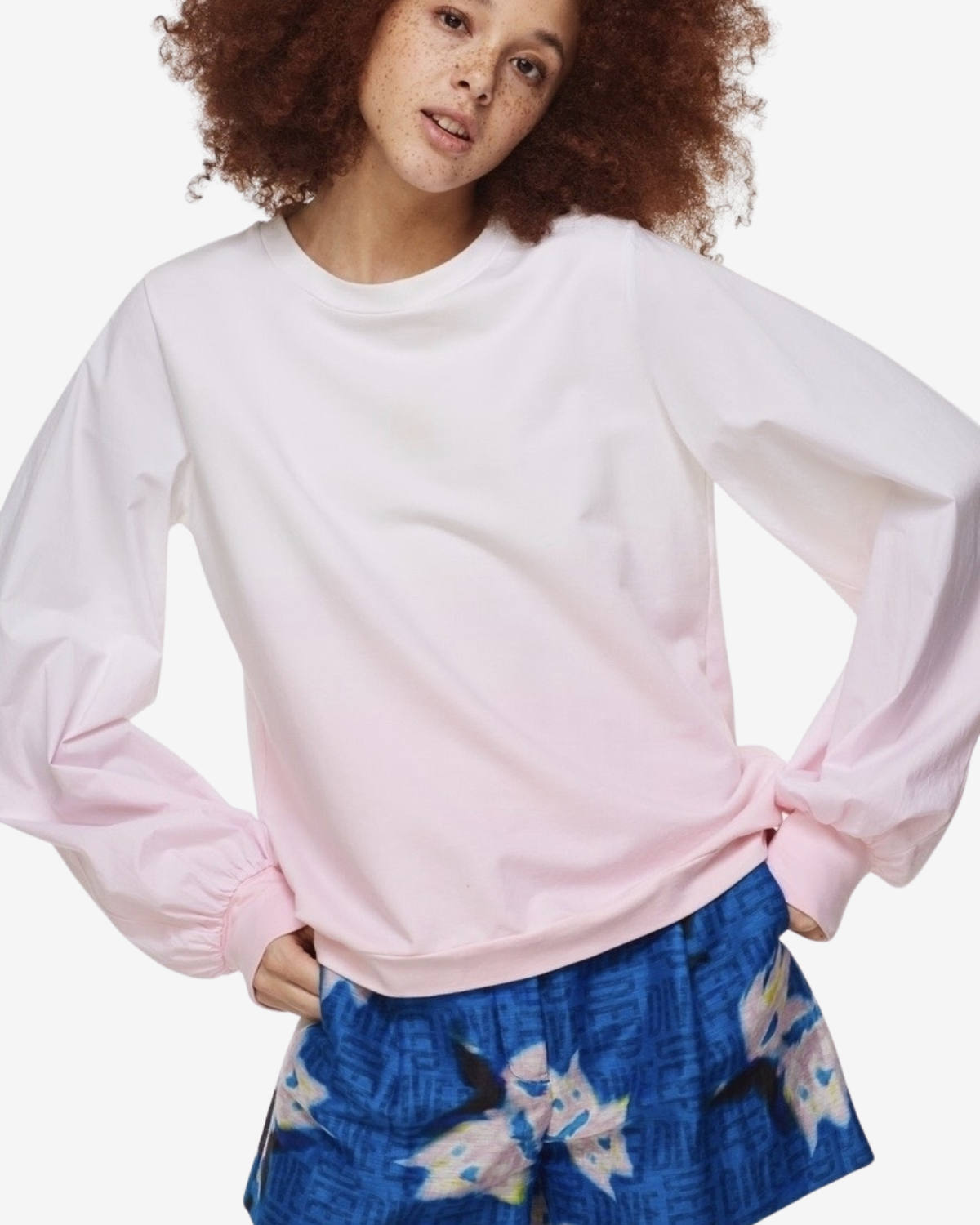 CASUAL REVOLUTION rising rose