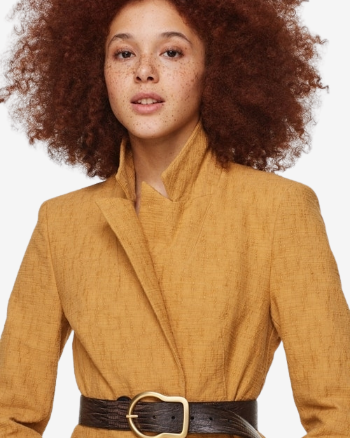 LUXURIOUS LIZARD Brown
