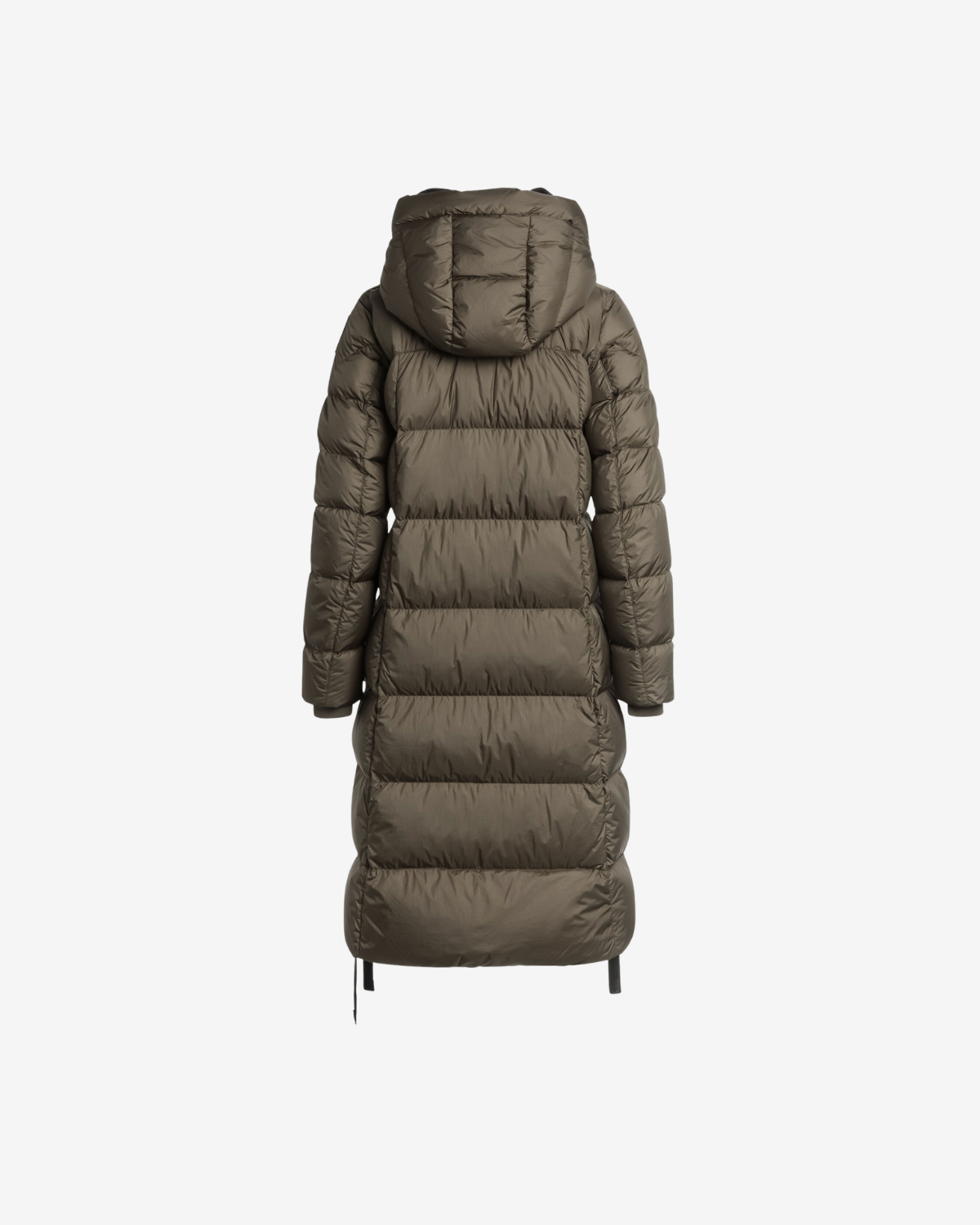 PANDA taggia olive