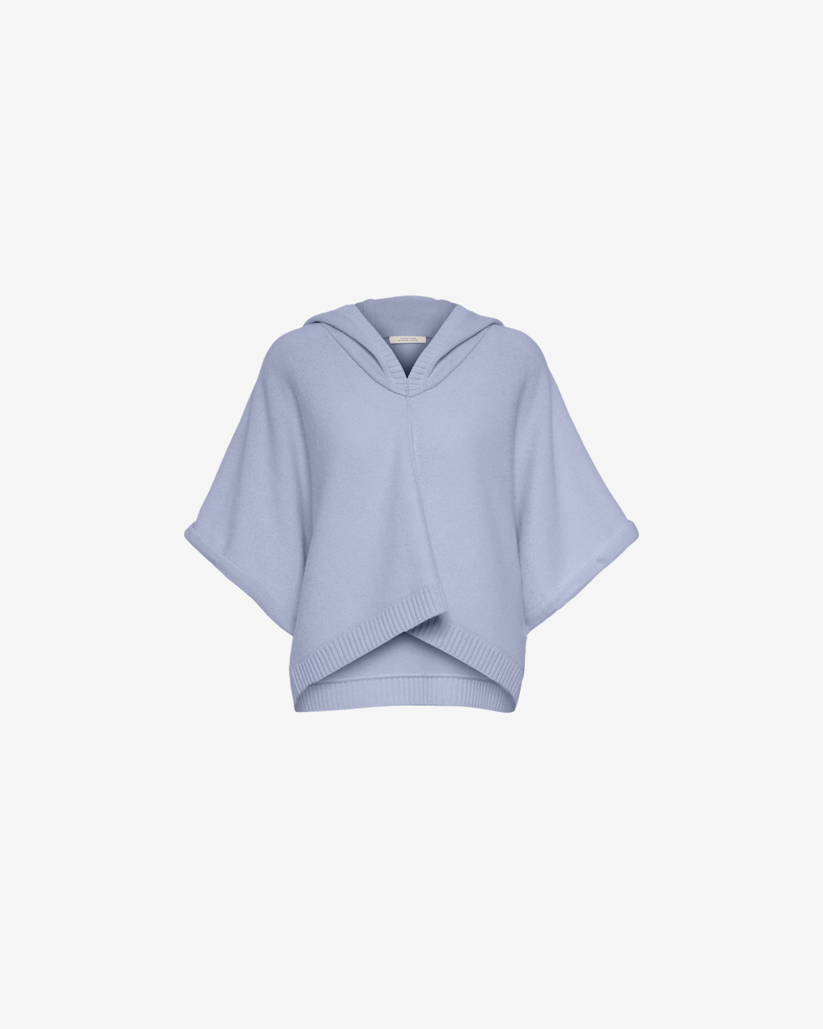 Future club hoodie Cloudy blue