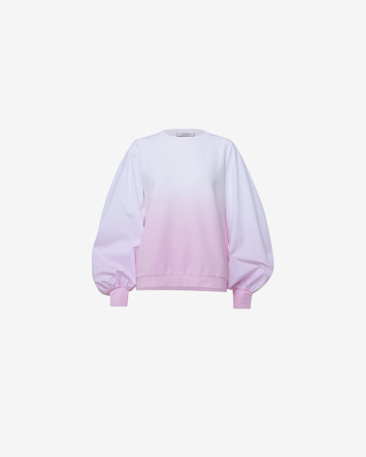 CASUAL REVOLUTION rising rose