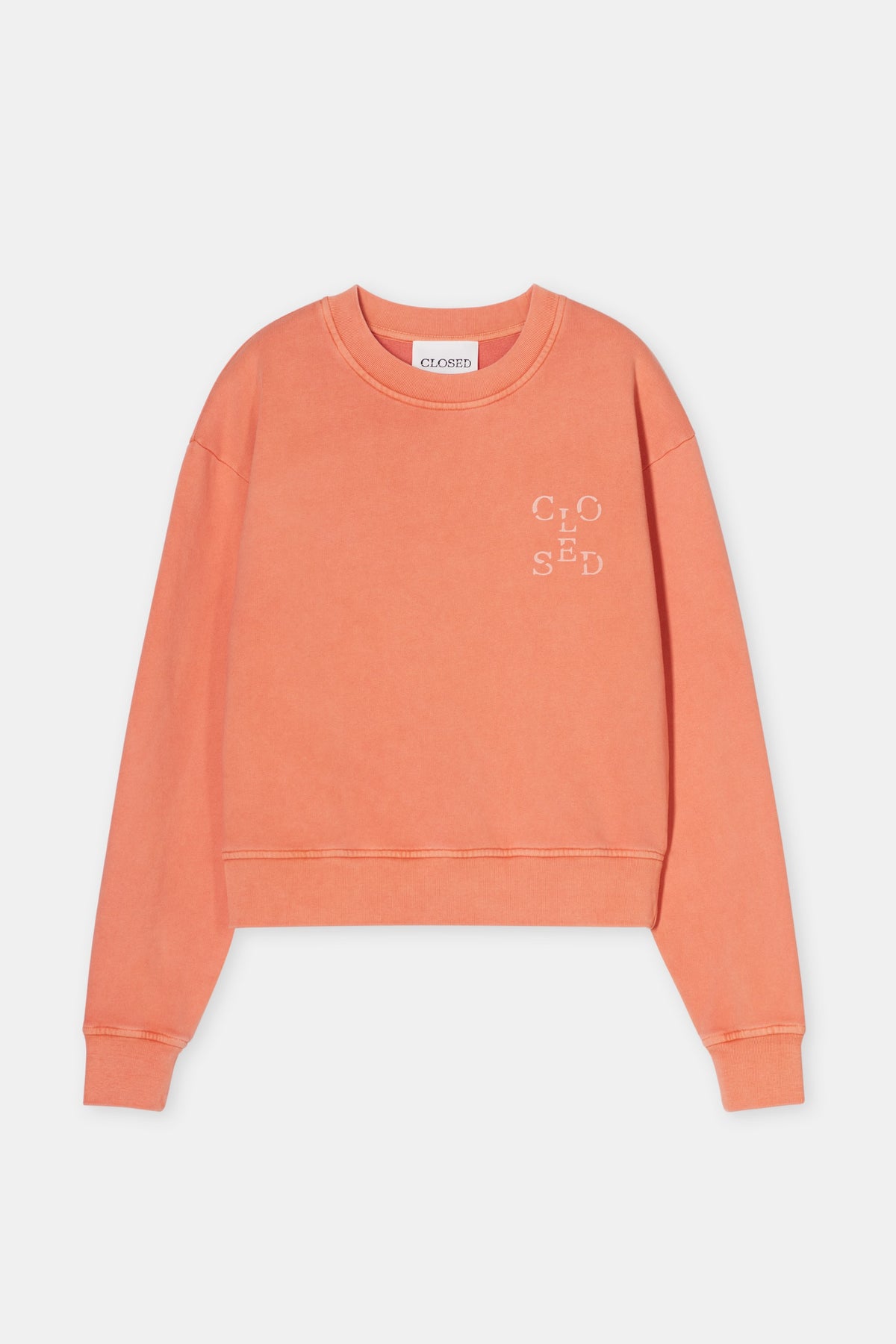 Printed sweatshirt pumpkin orange