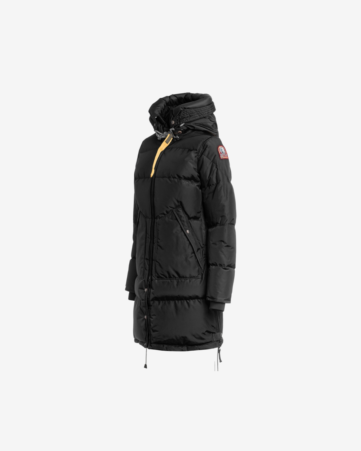 long bear black