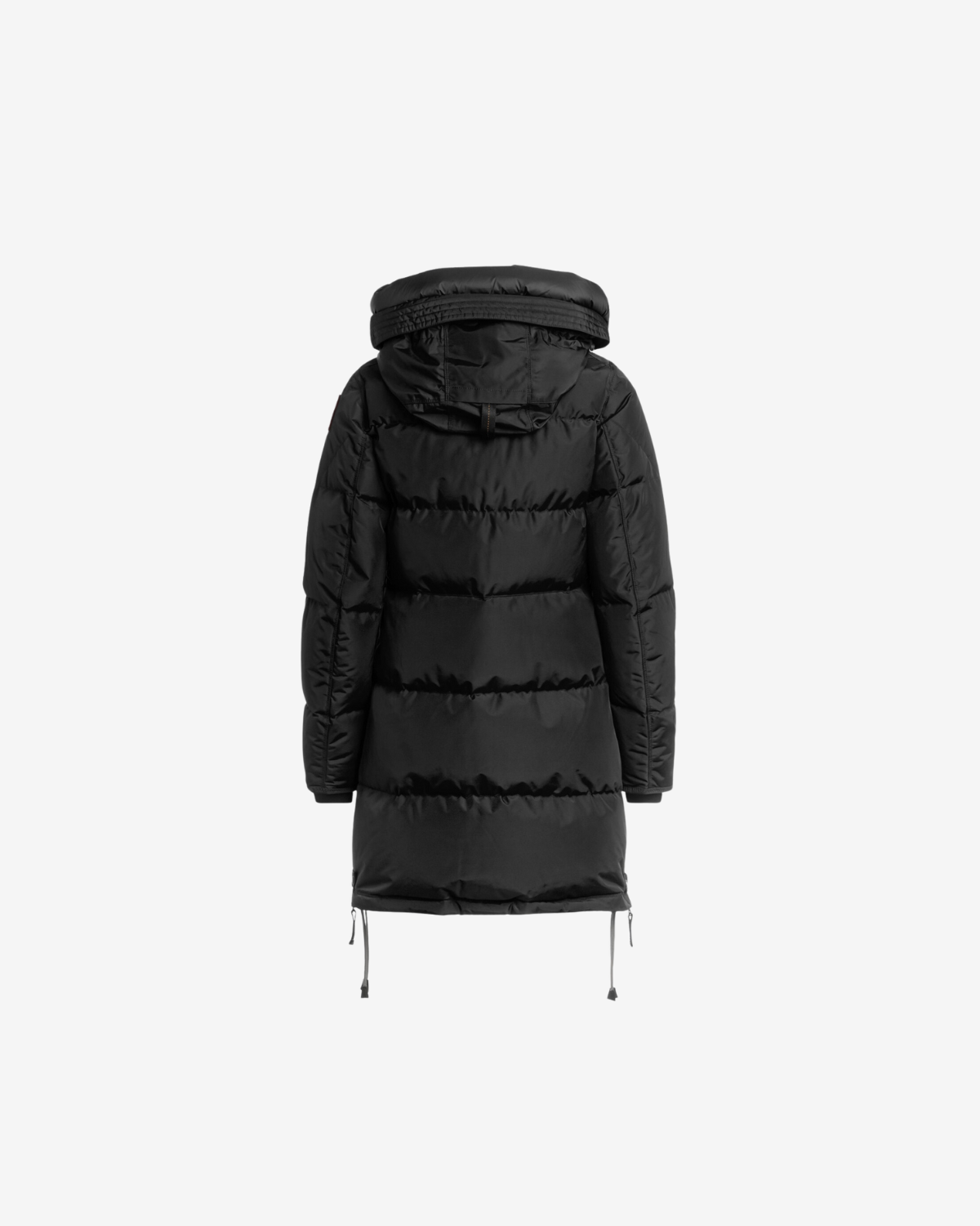 long bear black